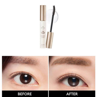 Missha No Retouch Lash Correcting Mascara 9.5g - Koreabe