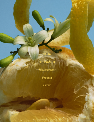 Kuoca - Goldeen Yuja Granita Topped With Cirtrus Parfum 50ml