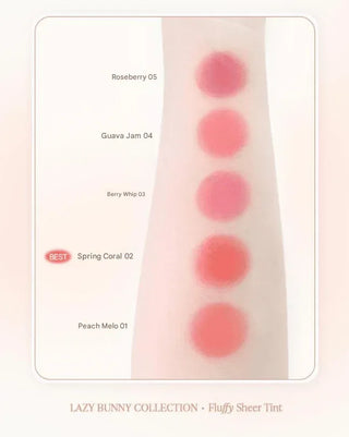 Giverny - Fluffy Dual Sheer Tint 3.5g - 5 Colors - Koreabe
