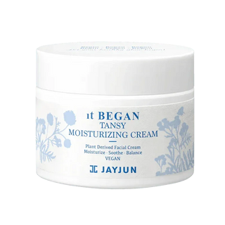 JayJun - iT Began Tansy Watery Pad 50ea - Koreabe