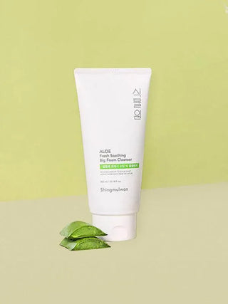 Shingmulwon - Aloe Fresh Soothing Big Foam Cleanser 300ml - Koreabe