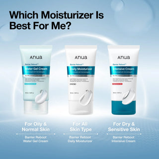 Anua - Barrier Reboot Daily Moisturizer 100ml
