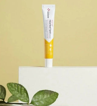 Paul Medison - Heartleaf Spot Remover 25ml - Koreabe