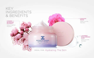 JayJun - Intensive Shining Watery Cream 65ml - Koreabe