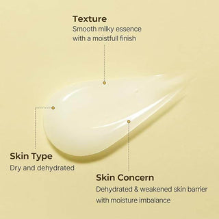 Torriden - Solid In Essence 100ml - Koreabe