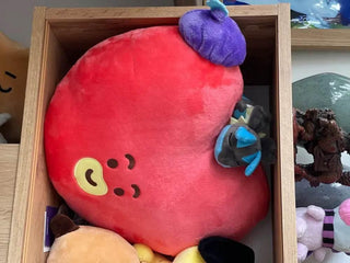 BT21 - TATA Hoping Love Face Cushion - Koreabe