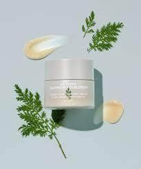 Missha - Artemisia Calming Cream 50ml - Koreabe