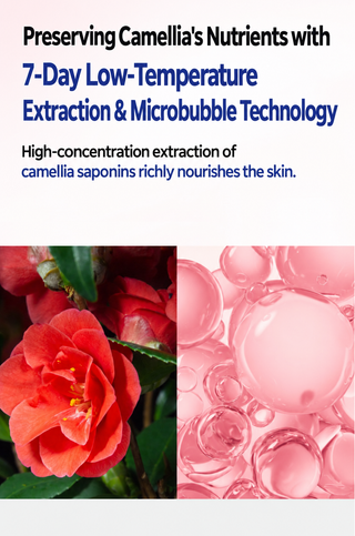 Mediheal - Red Camellia Dermaplus 10ea