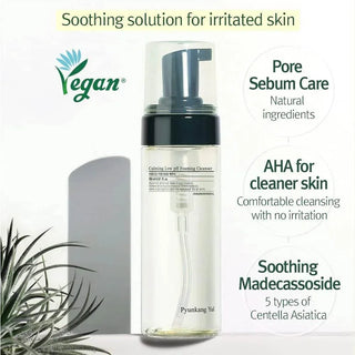 Pyunkang Yul - Calming Low pH Foaming Cleanser 150ml - Koreabe