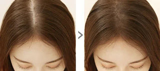 Sonatural - Hair Line Cover Cushion - 2 Colors - Koreabe