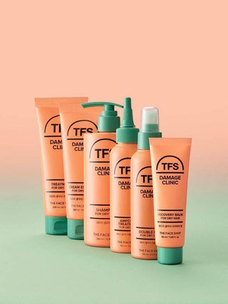 TFS by Faceshop - Double Mist For Dry Hair 150ml - Koreabe