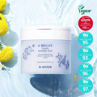 JayJun - iT Began Tansy Watery Pad 50ea - Koreabe