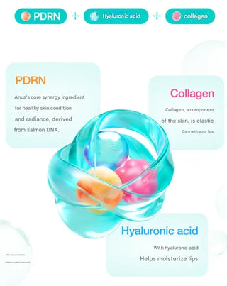 Anua - PDRN Lip Serum 10ml - Koreabe