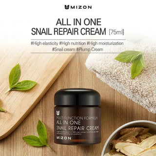 Mizon - Multi Function Formula All in One Snail Repair Cream 75ml - Koreabe