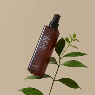 DMCK - Tea Tree Eucalyptus Clean AC Body Mist 200ml - Koreabe