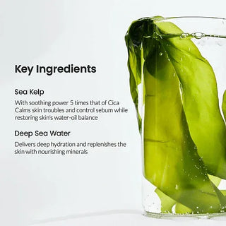 Biodance - Refreshing Sea Kelp Real Deep Mask 4ea - Koreabe