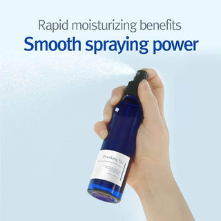 Pyunkang Yul - Ato Intensive Soothing Mist 145ml - Koreabe