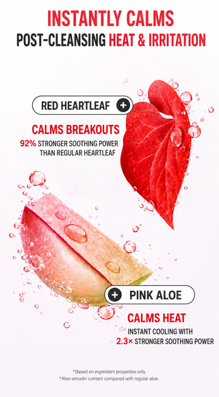 Sungboon Editor - Очищающий гель Red Heartleaf BHA Lino 120 мл