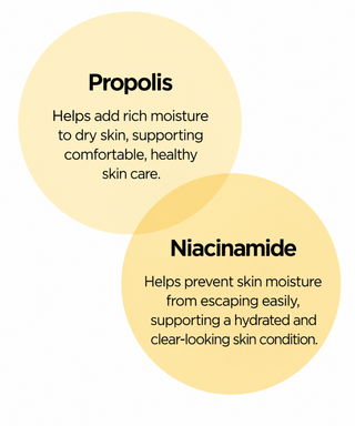 Beauty of Joseon - Glow Sun Stick Propolis Niacinamide SPF50 PA++++ 14g