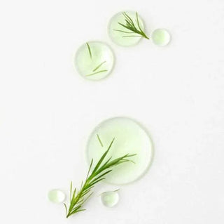 Paul Medison - Biome Tea Tree Spot Ampoule 30ml - Koreabe