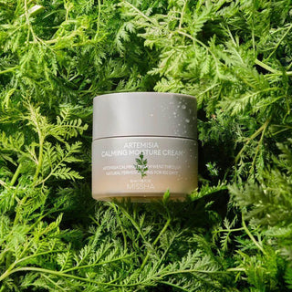 Missha - Artemisia Calming Cream 50ml - Koreabe