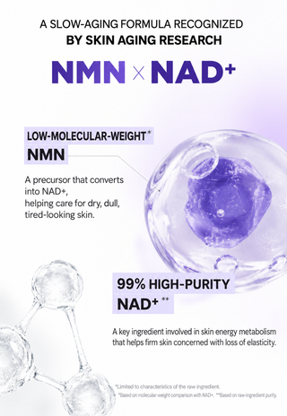 Boncept - NMN 1% Ampoule 30ml