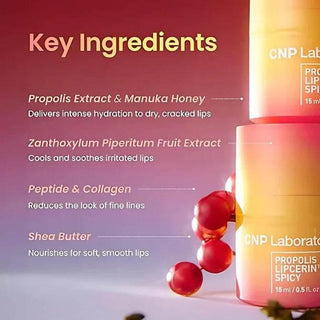 CNP - Propolis Lipcerin - 3 Flavors - Koreabe