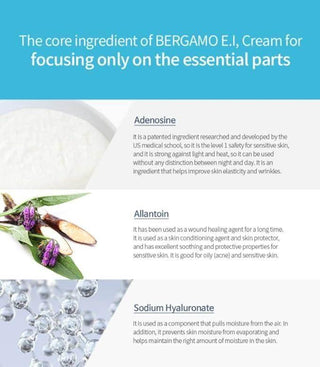 Bergamo - Hyaluronic Acid Essential Intensive Cream 50g - Koreabe