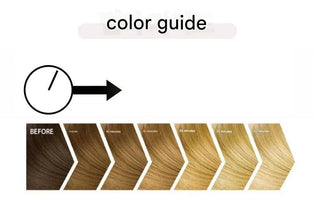 eZn - Highlight Hair Bleach Black Out - Koreabe