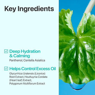 Numbuzin - Pure Full Calming Herb Toner 300ml