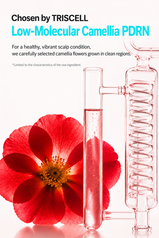 Treecell - Scalp PDRN Ampoule 10ml + Refill 10ml