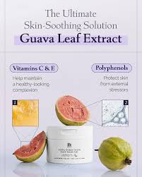 Benton - Guava 70 Skin Toner Face Mask Pad 70ea