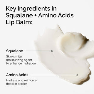 The Ordinary - Squalane Amino Acids Lip Balm 15ml