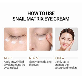 Scinic Snail Matrix Eye Cream 30ml - Koreabe