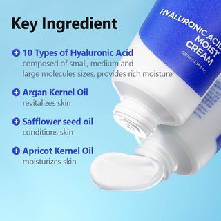 Isntree Hyaluronic Acid Moist Cream 100ml - Koreabe