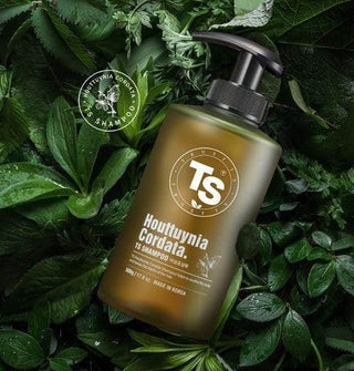 TS - Houttuynia Cordata Shampoo 500g - Koreabe
