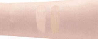 Banila Co Converious Power Fit Concealer - 2 Colors - Koreabe