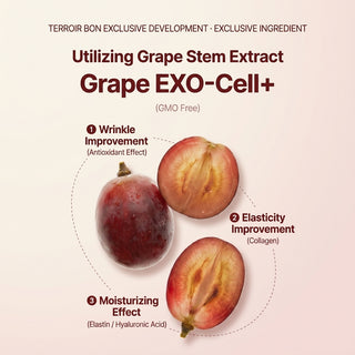 TerroirBon - Grapecell Firming Ampoule 53ml