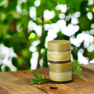 I'm from - Mugwort Cream 50g - Koreabe