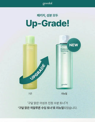 Goodal - Ice Heartleaf Hyaluron Soothing Toner 350ml - Koreabe