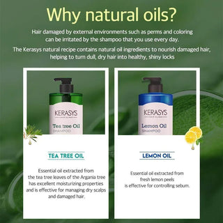 Kerasys - Tea Tree Oil Shampoo 1000ml - Koreabe
