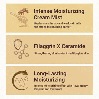Skinfood Royal Honey Propolis Enrich Cream Mist 120ml - Koreabe