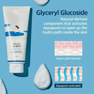 Round Lab - Birch Juice Moisturizing Cleanser 150ml - Koreabe