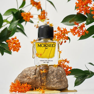 Under The Pergoia - Mokseo EDP 50ml