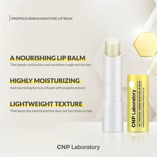 CNP - Propolis Derma Moisture Lip Balm 4g - Koreabe