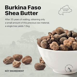 Nature Republic - Shea Butter Moist Steam Cream 100ml - Koreabe